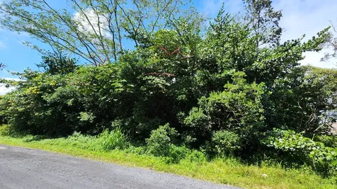 15-1746 9th Avenue Keaau HI 96749