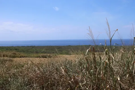 85-4471 Kapia Road Captain Cook HI 96704