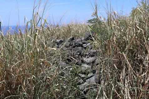 85-4471 Kapia Road Captain Cook HI 96704