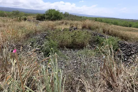 85-4471 Kapia Road Captain Cook HI 96704