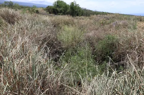 85-4471 Kapia Road Captain Cook HI 96704