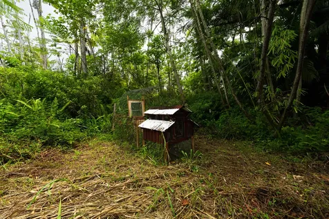 16-1823 39th Avenue Keaau HI 96749