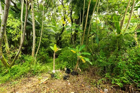 16-1823 39th Avenue Keaau HI 96749