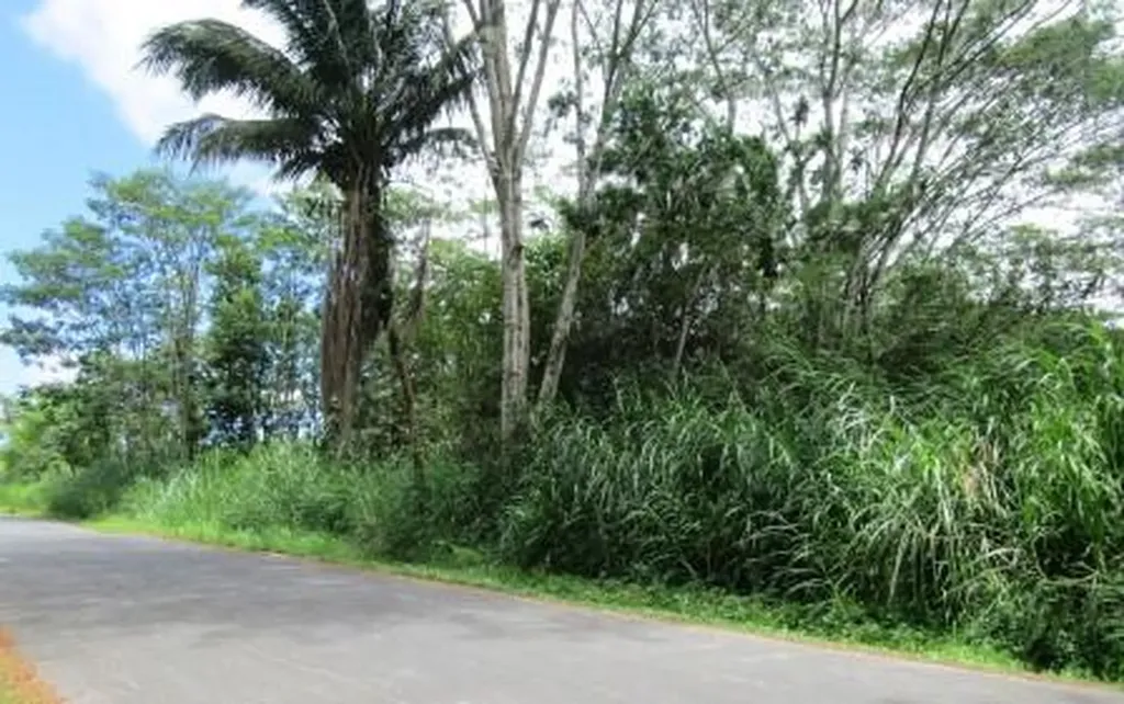 35th Avenue Keaau HI 96760