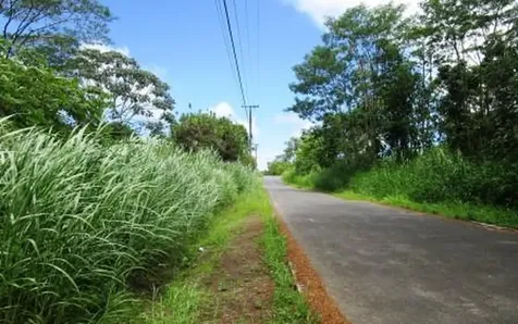 35th Avenue Keaau HI 96760