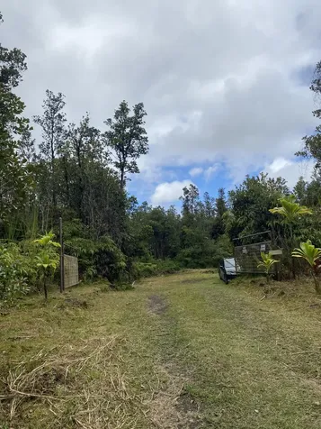 11-3236 Lehua Street Mountain View HI 96771