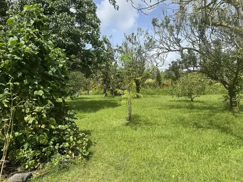 13-3316 Kupono Street Pahoa HI 96778