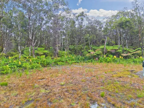 11-3834 Liona Street Volcano HI 96785