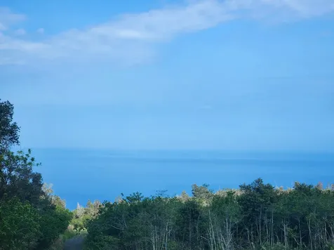 Captain Cook HI 96704