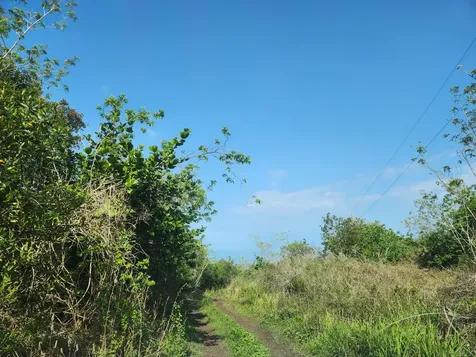 Captain Cook HI 96704