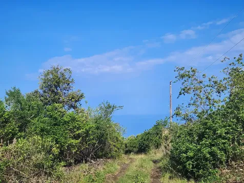 Captain Cook HI 96704