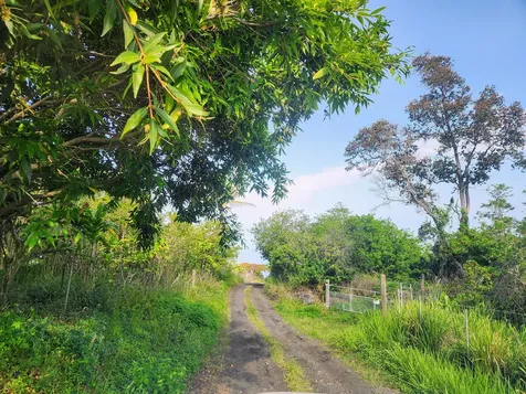 Captain Cook HI 96704