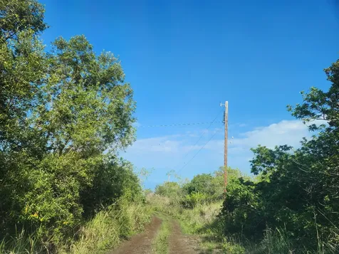 Captain Cook HI 96704