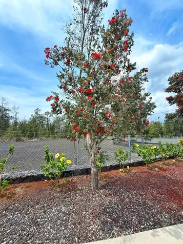 92-8858 Paradise Parkway Ocean View HI 96737