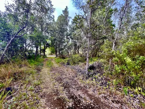 92-1530 Cocoanut Drive Ocean View HI 96737