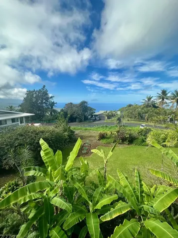 82-6073-a Hawaii Belt Road Captain Cook HI 96704