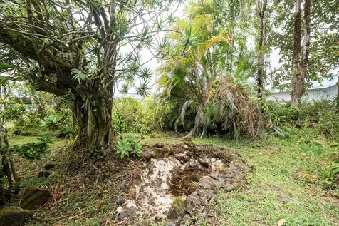 137 Kuakolu Place Hilo HI 96720