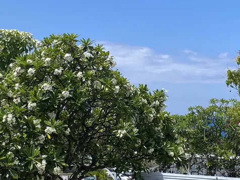 74-5618 Palani Road Kailua-kona HI 96740