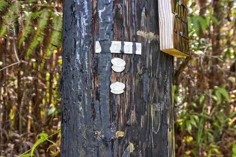 Hibiscus Street Mountain View HI 96771