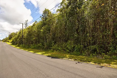 Hibiscus Street Mountain View HI 96771