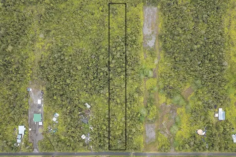 Hibiscus Street Mountain View HI 96771