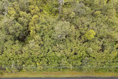 Hibiscus Street Mountain View HI 96771