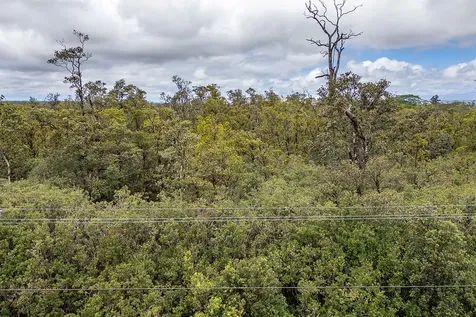 Hibiscus Street Mountain View HI 96771