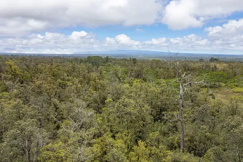Hibiscus Street Mountain View HI 96771