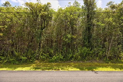 Hibiscus Street Mountain View HI 96771