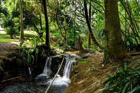 29-3818 Hawaii Belt Road Hakalau HI 96710