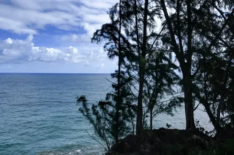 29-3818 Hawaii Belt Road Hakalau HI 96710