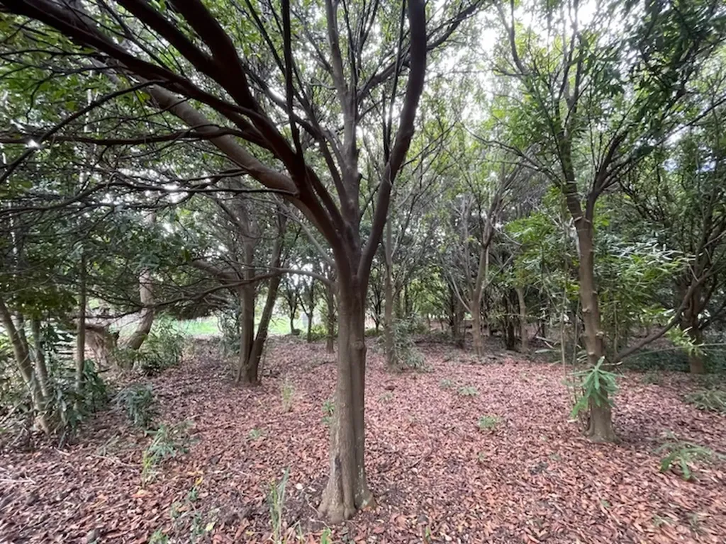 Puka Street Naalehu HI 96772