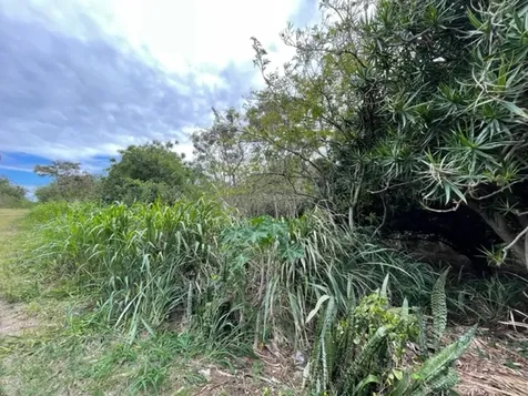 Puka Street Naalehu HI 96772