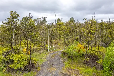11-2317 Kokokahi Road Volcano HI 96785