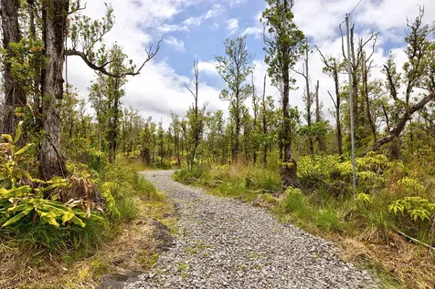 11-2317 Kokokahi Road Volcano HI 96785