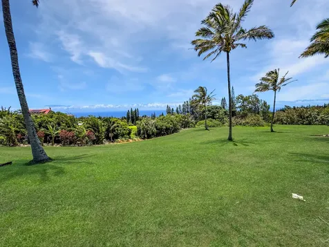 55-1096 Kaauhuhu Homestead Road Hawi HI 96755