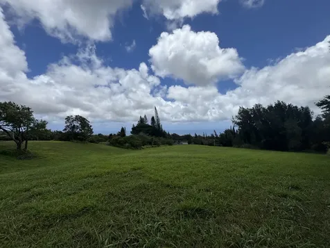 55-1096 Kaauhuhu Homestead Road Hawi HI 96755