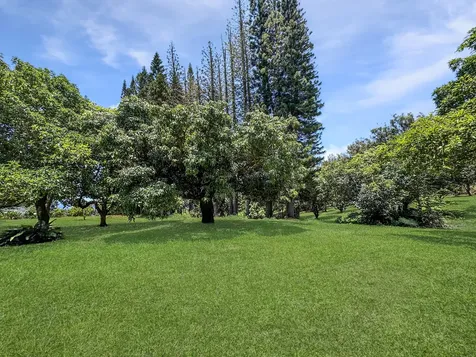 55-1096 Kaauhuhu Homestead Road Hawi HI 96755