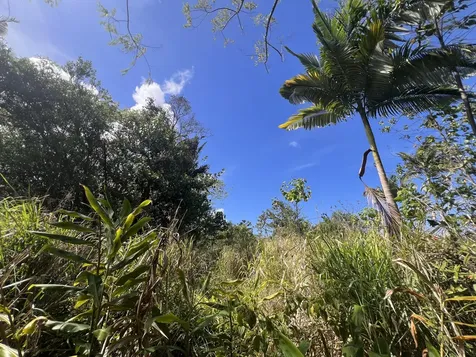 Kukuau Street Hilo HI 96720