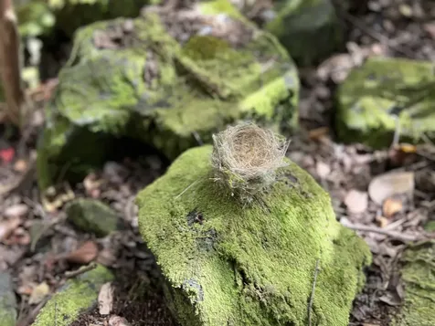 Kukuau Street Hilo HI 96720