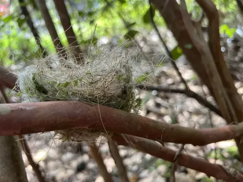 Kukuau Street Hilo HI 96720