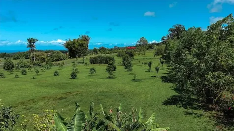 29-2612 Kaiwiki Homestead Road Hakalau HI 96710