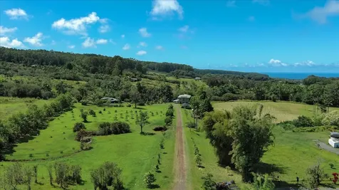 29-2612 Kaiwiki Homestead Road Hakalau HI 96710