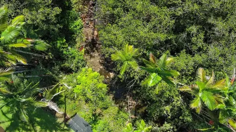 29-2612 Kaiwiki Homestead Road Hakalau HI 96710