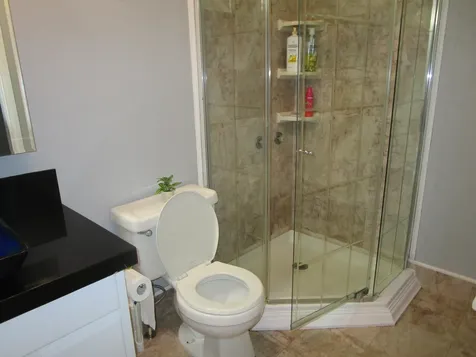 11-3893 7th Street Volcano HI 96785