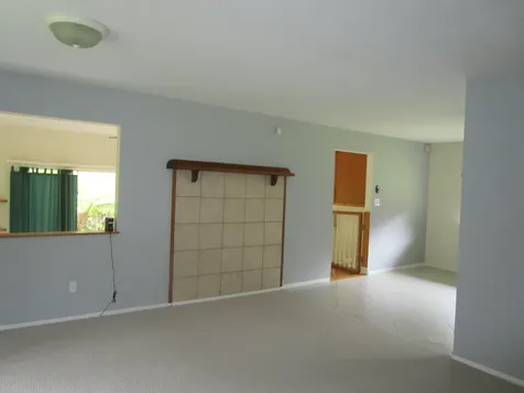 11-3893 7th Street Volcano HI 96785