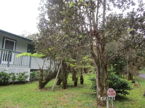 11-3893 7th Street Volcano HI 96785