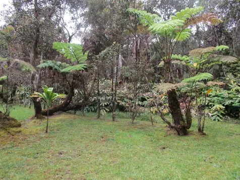 11-3893 7th Street Volcano HI 96785