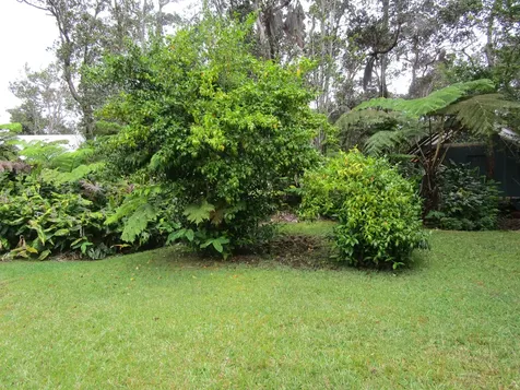 11-3893 7th Street Volcano HI 96785