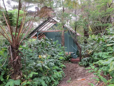 11-3893 7th Street Volcano HI 96785